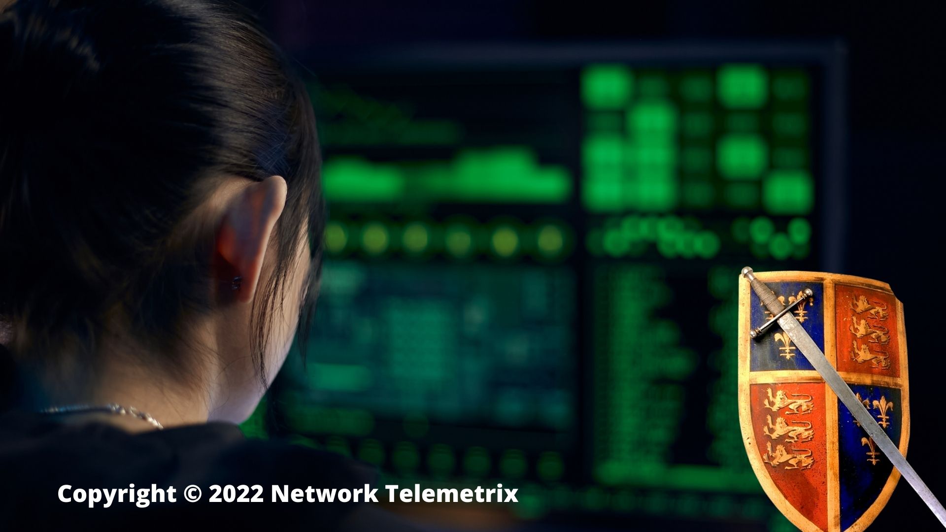 Network Telemetrix Consultancy-5